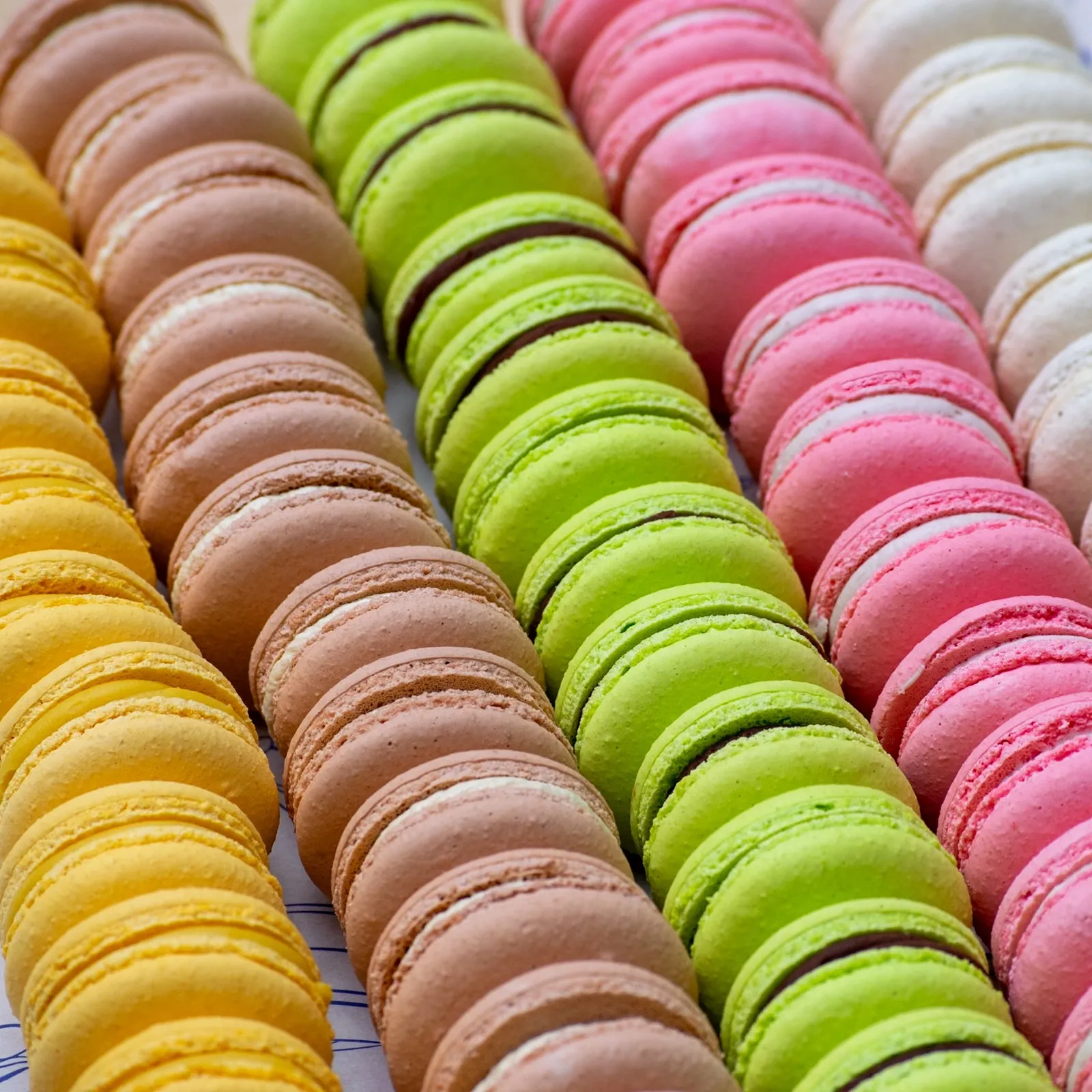 Rows of colourful handcrafted French macarons lined up in the kitchen